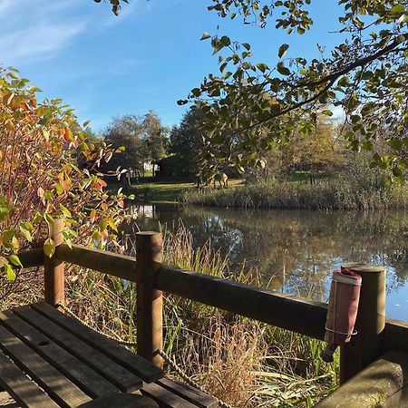 Hazel Oaks, Beautiful Lodge With Hot Tub - Sleeps 6 - Felmoor Park 莫珀斯 外观 照片