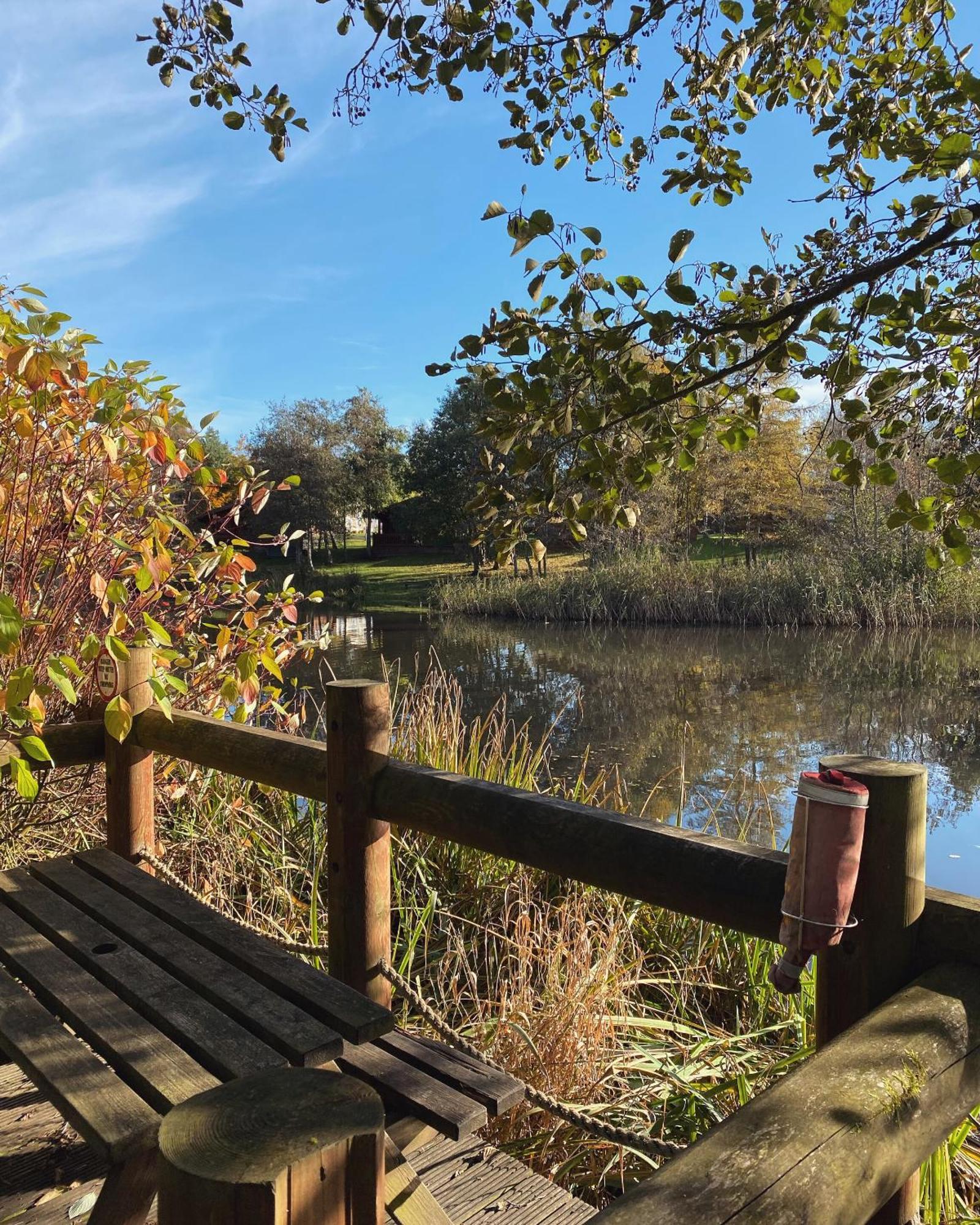 Hazel Oaks, Beautiful Lodge With Hot Tub - Sleeps 6 - Felmoor Park 莫珀斯 外观 照片